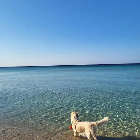 Casa Le Dune Salentine A Pochi Passi Dal Mare